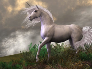 einhorn