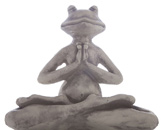 yoga-frosch-161