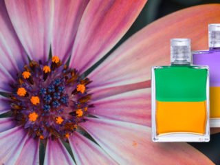 kraftquelle-aura-soma-slider