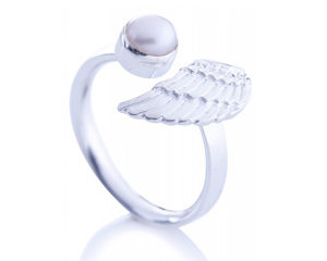 ring-der-vollkommenheit