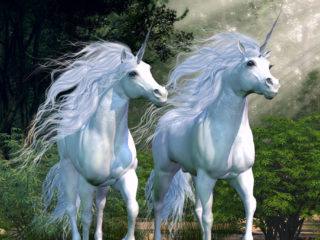 einhorn
