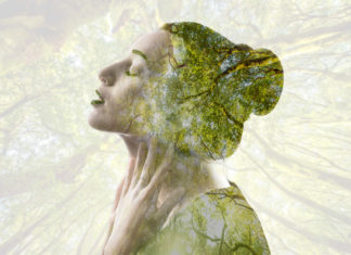 Ursula Frenzel: So erkennst du deinen Seelenplan