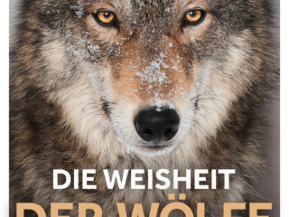 Die Weisheit der Woelfe von Elli H Radinger