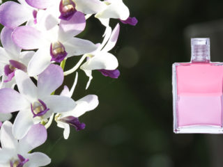 aura-soma-slider-27-11