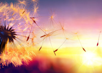 Pierre Franckh: Hinter jedem Verlust steckt eine Chance für Neues