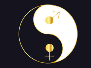 carina-solve-erwachen-weiblichkeit-maennlichkeit