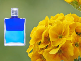 aura-soma-slider-stress-alltag-selbstvertrauen