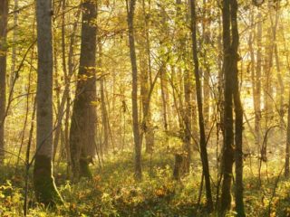 werner-buchberger-verbindung-natur-uebungen