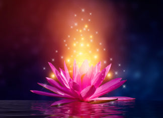 Daniela Schmidt: Ein Gefühl des Friedens und der Fülle