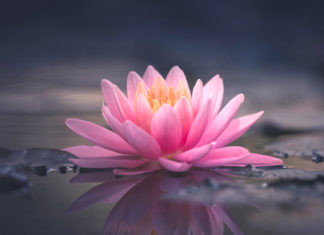 Hans Christian Meiser: Die Transformation ist unaufhaltsam