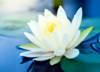 Jana Haas: Die neue Welt, die ich mir wünsche