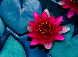 Kaja Andrea Otto: Die feminine Energie bekommt mehr Raum