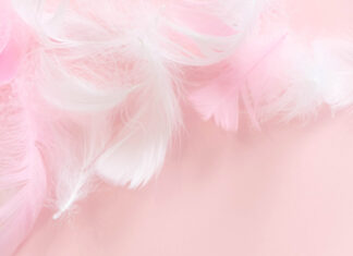 Prinzessin Märtha Louise & Elisabeth Nordeng: Federn