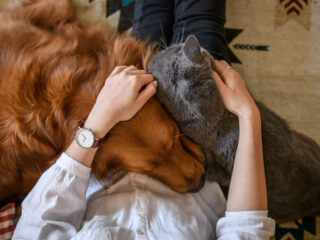 gordon_smith_tiere_lieben