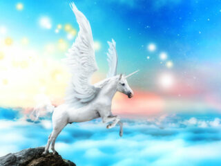 sandra_stelzner_muerkoestner_vertrauen_leben_pegasus