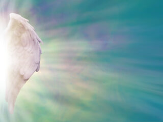 Angel,Wings,And,Healing,Light,Banner,-,White,Angel,Wings