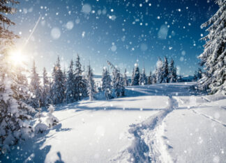 Pierre Franckh: Ein einfaches Leben führt dich zurück zu deiner Zufriedenheit