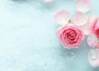 Dr. Hans Christian Meiser: Die Schönheit des Augenblicks