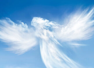 Glennyce Eckersley: Engel auf der Autobahn