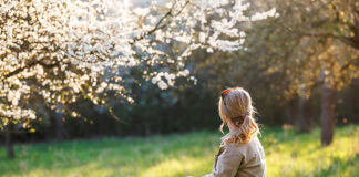 Stefanie Nicole Moritsch: Meditation Erlebe deine Sternenenergie