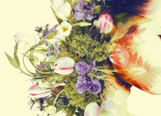 Daniela Hutter: Wie hast du es geschafft