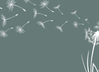 Pierre Franckh: Jetzt erst recht! Zeit, nach den Sternen zu greifen