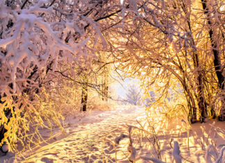 Manfred Mohr: Kinder zeigen uns das Wunder des Einfachen