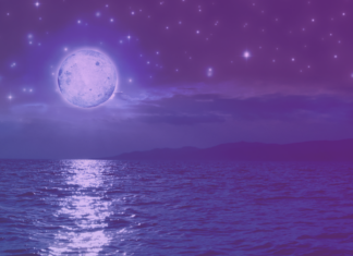 Sandra Stelzner-Mürköster: Die Engel trocknen Deine Tränen