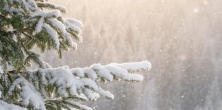 3.2. Masterclass Live! gratis Gesichtlesen Masterclass mit Anne Fierhauser