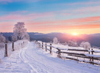 Thomas Schmelzer: Mein einfaches schönes Leben: Lesen, Schauen, Denken…