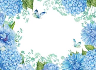 Thomas Schmelzer: Nur dieses eine Problem noch