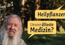 Wolf-Dieter Storl: #3 Heilpflanzen – unsere älteste Medizin